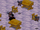 Doxy Drone.png