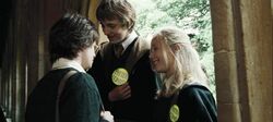 Hufflepuff's teasing Harry