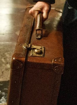 Lego suitcase fantastic beasts 2025