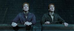 HPDH Fred and George