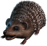 Knarl