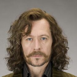 カテゴリ 魔法使い Harry Potter Wiki Fandom