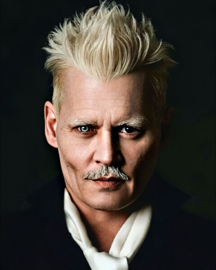 Gellert Grindelwald Harry Potter Wiki Fandom