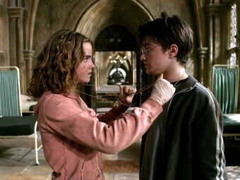 Hermione Granger Wiki Harry Potter Fandom