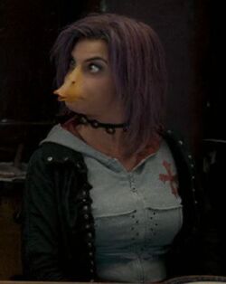 Tonks bec de canard