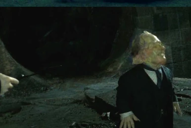 トロピカルランド Amazon.com: ZX-6R Motorcycle Tail Light, LED Turn Signal