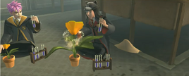 Growth Potion demonstration HM636h