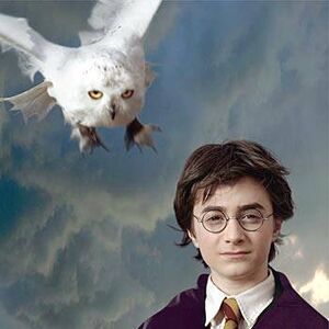 Buklya Garri Potter Viki Fandom