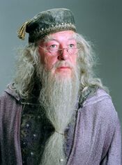 Albus Dumbledore POA promo