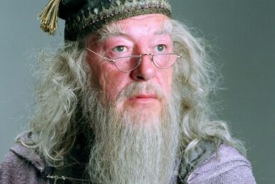 太った婦人 | Harry Potter Wiki | Fandom 太った婦人 | Harry Potter Wiki | Fandom