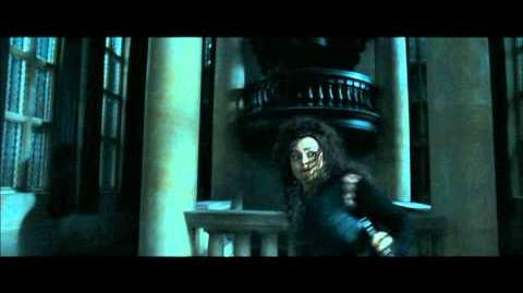 Bellatrix's Reign of Terror (part 1)
