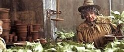 Professor Sprout teaching in Greenhouse Three