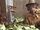 Professor Sprout teaching in Greenhouse Three.jpg