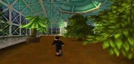 Evergreen Environment