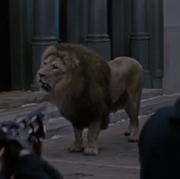 FBAWTFT Lion