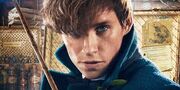 Newt scamander