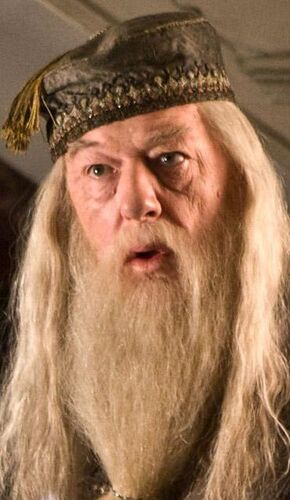 Albus Dumbledore babberton