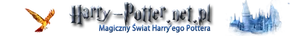 Harry Potter Net