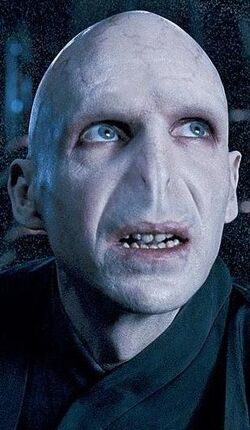 OOTP Voldemort cropped