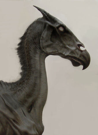 Thestral Harry Potter Wiki Fandom