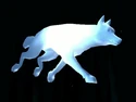 Wolf Patronus.png (92 KB) Wolf