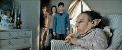 Harry Potter approaching Griphook in Shell Cottage DHF2