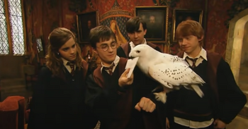 Harry sends Hedwig with the letter to the Queen's palace