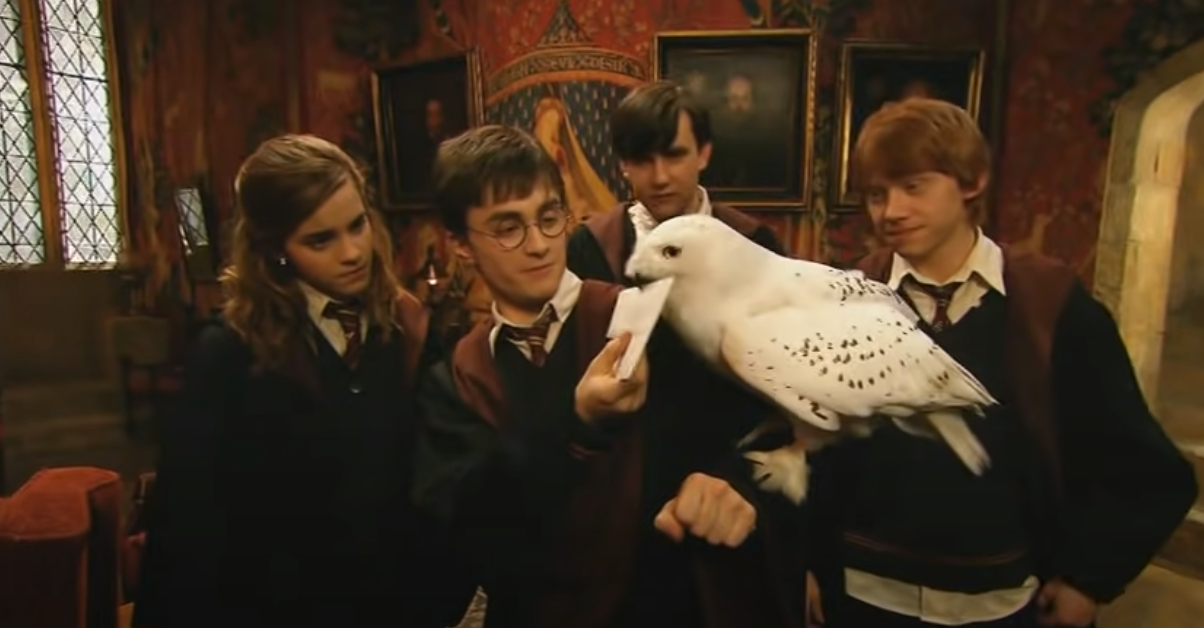 Hedwig, Harry Potter Wiki