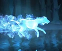 IrishWolfhound-patronus.jpg (32 KB) Irish Wolfhound