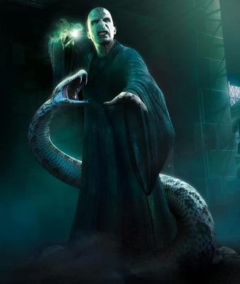 pop voldemort nagini