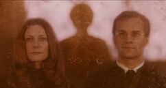 哈利在中看到詹姆和莉莉·波特。