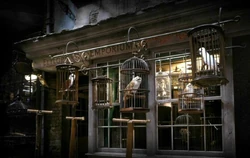 Diagon Alley - Eeylops Owl Emporium