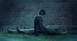 哈利跪倒在邓布利多的遗体前。