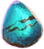 Peruvian Vipertooth Egg WU