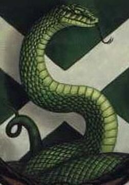 Serpent, Wiki Harry Potter