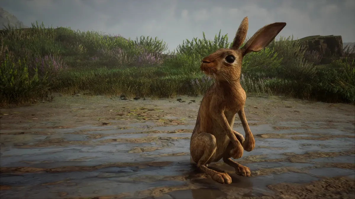 Hare | Harry Potter Wiki | Fandom