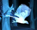 Osprey Patronus.png (309 KB) Osprey