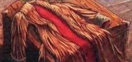 Porcupine Robe