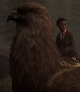 Brown hippogriff HL