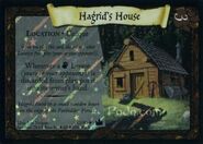 HagridsHouseFoil-TCG