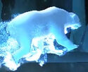 Polar Bear (ours blanc)