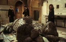 178a6a8b66a0e89a57b9406268cf7310