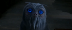 Demiguise precognition