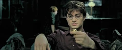 Harry mit dem Schnatz