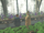 Jacob's sibling approaching Professor Sprout HM63.png