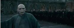 Voldemort battle