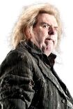 Peter Pettigrew