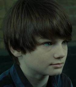 Albus Potter | Potterwiki | Fandom