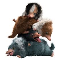 The four younger Nifflers