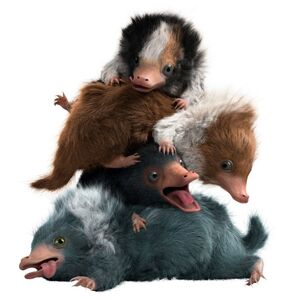 Niffler Harry Potter Wiki Fandom